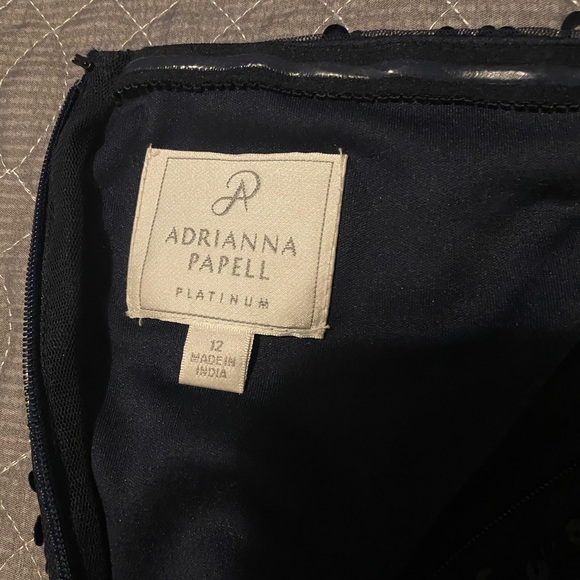 Adrianna Pappel floor length formal dress - Picture 5 of 7